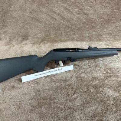 Remington Model 597 .22LR