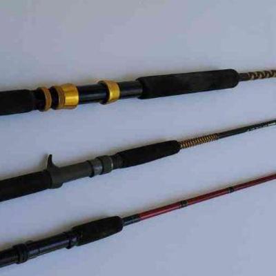 (4) Fishing Rods
