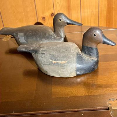 (2PC) CANVASBACK DECOY PR. | Vintage Gunning Pair of Canvasback Decoys in nice old in-use repaint. - l. 16 x w. 7 x h. 6.5 in (Hen) 
