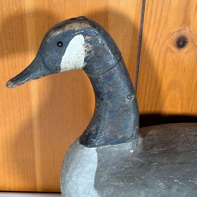 CHINCOTEAGUE CANADA GOOSE DECOY | Great Vintage Canada Goose Decoy in the Chincoteague VA style. Old in use repaint. Retains leather loop...