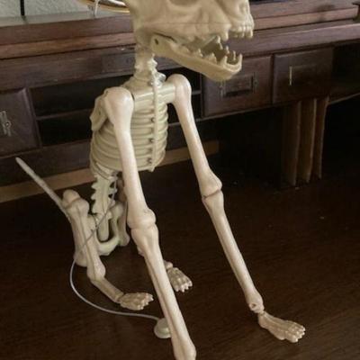 Animated skeletom cat moving jaw
