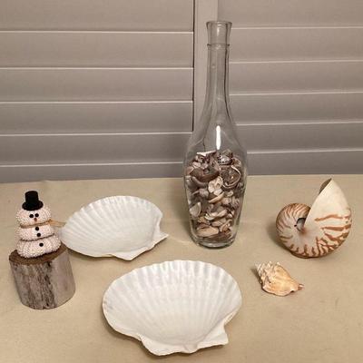 MTT211 Nautilus Shell, Sea Urchin Snowman & More!