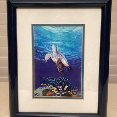 MTT010 Framed Picture Of A Honu Sea Turtle