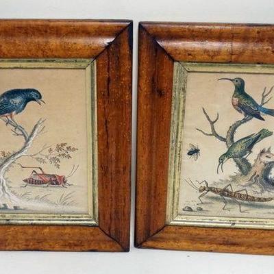 1057	PAIR OF BIRD AND INSECT COLORED LITHOGRAPHS IN BIRDSEYE MAPLE FRAMES, APPROXIMATELY 12 IN X 14 IN OVERALL
