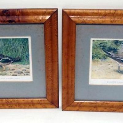 1056	PAIR OF COLORED DUCK LITHOGRAPHS IN BIRDSEYE MAPLE FRAME, APPROXIMATELY 13 IN X 15 IN OVERALL
