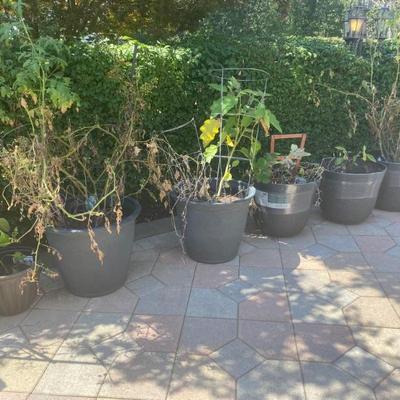 EstateSalesByOlga in Toms River Estate Sale