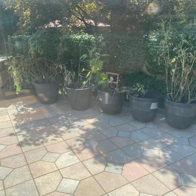 EstateSalesByOlga in Toms River Estate Sale