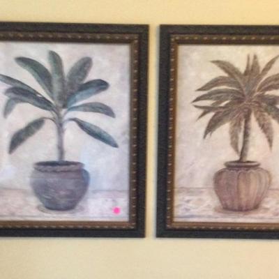 Framed palm pictures