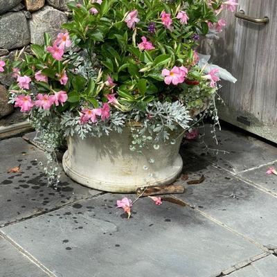 CEMENT PLANTERS