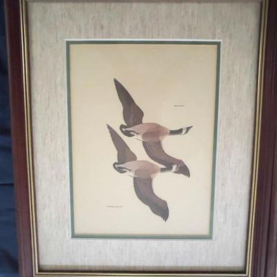 Vintage Art Print Ducks