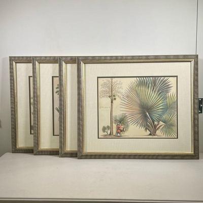 (4PC) PALM TREE & REED PRINTS | Includes 4 separate frame prints showing different palm trees with labels in multiple languages including...