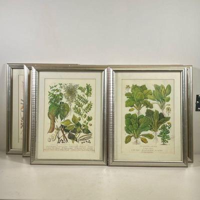 (15PC) FRAMED BOTANICAL PRINTS | Large lot of 15 framed botanical prints with English labels 14in x 10in sight. - l. 15.25 x h. 19.5 in 