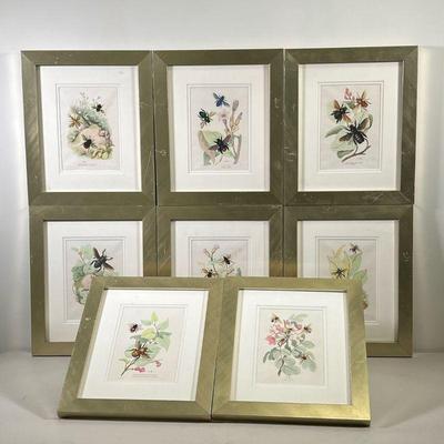 (8PC) INSECT AND PLANT PRINTS | Includes 8 separate framed prints showing various insects and the flowers and plants they frequent with...