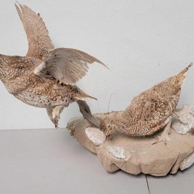 #639 â€¢ Birds On Desert Terrain Wall Mount
