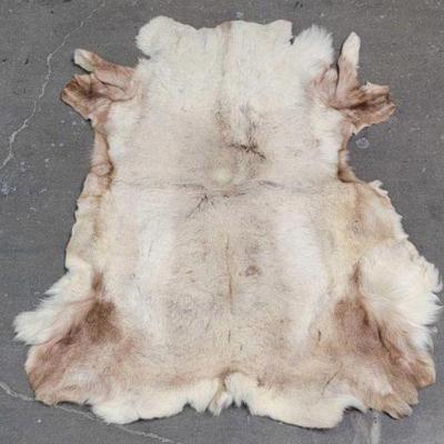 #625 â€¢ Animal Hide
