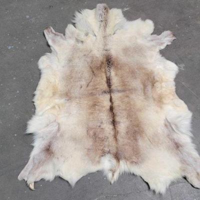 #621 â€¢ Animal Hide
