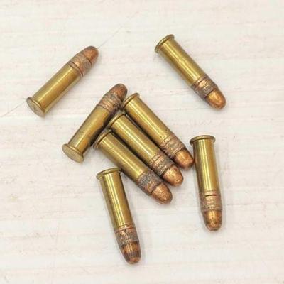#1300 â€¢ (8) Rounds of .22 Ammo
