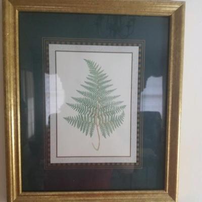 Framed picture of fern  1 of 3