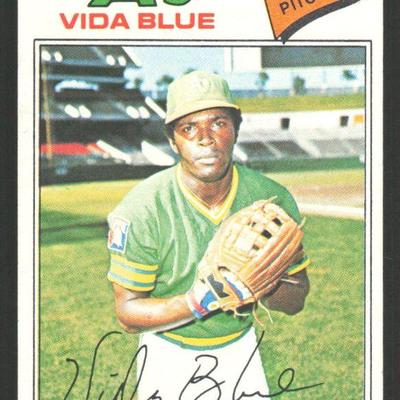 VIDA BLUE