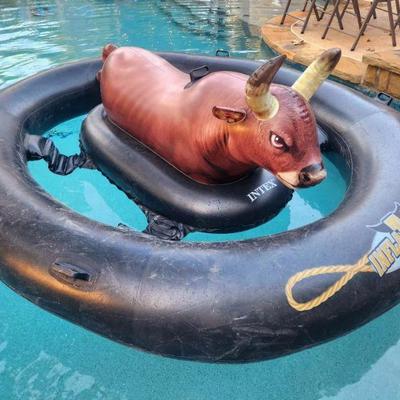 Pool Floats