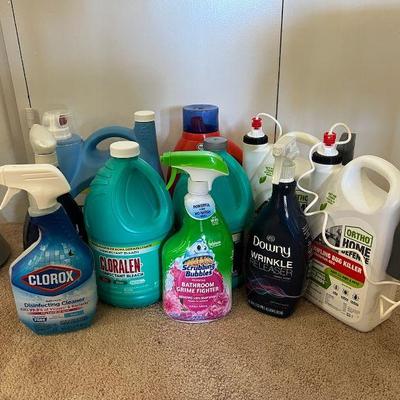 MPS081- Cleaning Supplies Lot