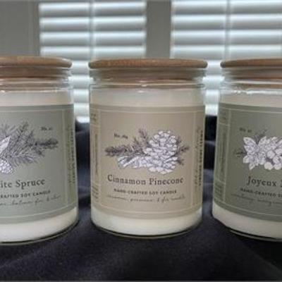 Lot 192   25 Bid(s)
Trio of Holiday Soy Candles