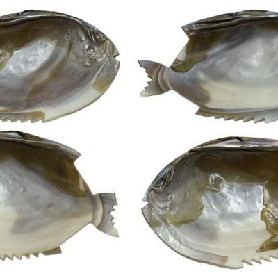 4 ABALONE SHELL CARVED FISH CAVIAR DISH