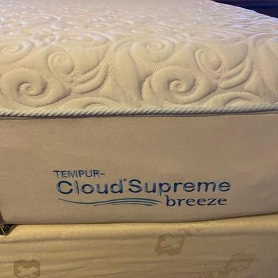 Adjustable Tempur Cloud Supreme Queen 
Size with Remote.
