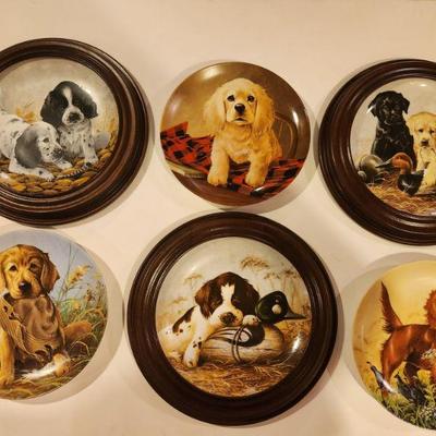 Dog plate collection