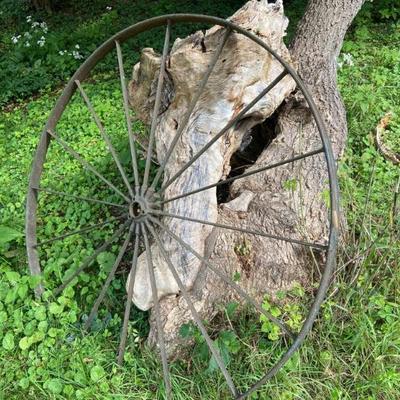 Large Bicycle Wheel