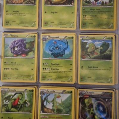 https://auctions4america.proxibid.com/Auctions-4-America/Pok-mon-Very-Rare-Cards-and-Collectibles/event-catalog/248899