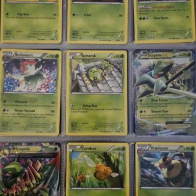https://auctions4america.proxibid.com/Auctions-4-America/Pok-mon-Very-Rare-Cards-and-Collectibles/event-catalog/248899