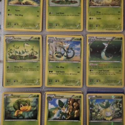 https://auctions4america.proxibid.com/Auctions-4-America/Pok-mon-Very-Rare-Cards-and-Collectibles/event-catalog/248899