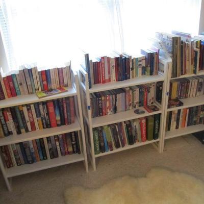 Tons of incredible books. (white shelves are display only)