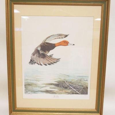 1142	RED HEAD DUCK PRINT SIGNED SALLIE ELINGTON MIDDLETON #1798, APPROXIMATELY 25 IN X 31 IN OVERALL
