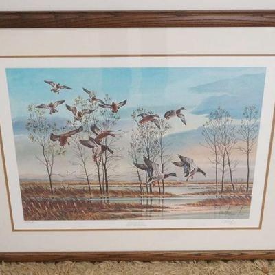 1288	FRAMED & MATTED DUCK PRINT SIGNED RICHARD TIMM 2166/5000, APPROXIMATELY 35 IN X 28 IN

