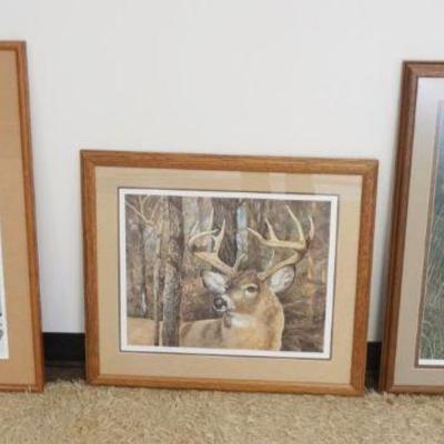 1281	GROUP OF 3 FRAMED & MATTED SIGNED STAG LTD PRINTS, CAROL DECKER 240/600, BRIAN JARVIS SOLITARY WHITETAIL 340/780, JORGE MAYOL...