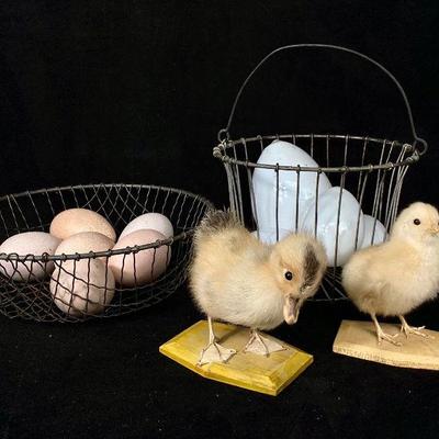 JIFI906 Vintage Taxidermy Baby Birds Blown Glass Eggs	2 baby birds mounted on wooden stands, 4 blown glass eggs - 2 sizes. Â 6 blown eggs...