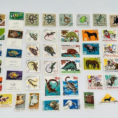 Animals Stamps From Around The World
43 animal, reptile, and dinosaur stamps from Poland, Romania, Israel, Rowanda, and more! 