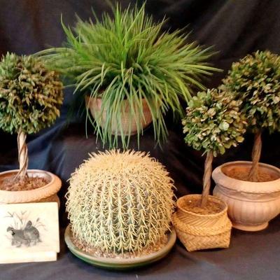 "Woodside: Bald Cypress" in Aiken, SC. Closing on Sat 9/30 at 8pm. Pickup is Mon 10/2 from 2-6pm. Please click here to view...