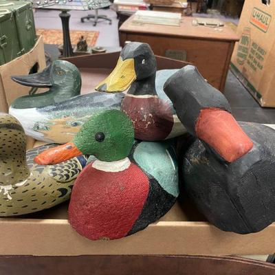 Duck Decoys