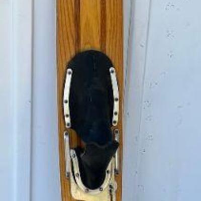 Northland Shark Water Ski