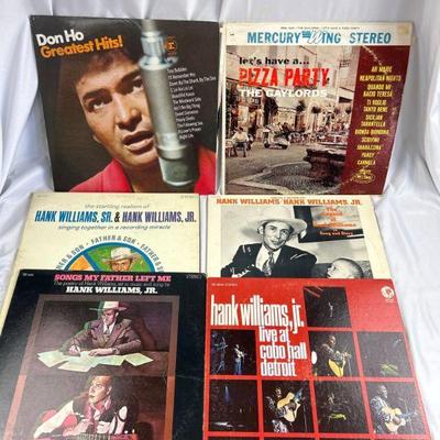 Hank Williams Jr etc Vinyl
