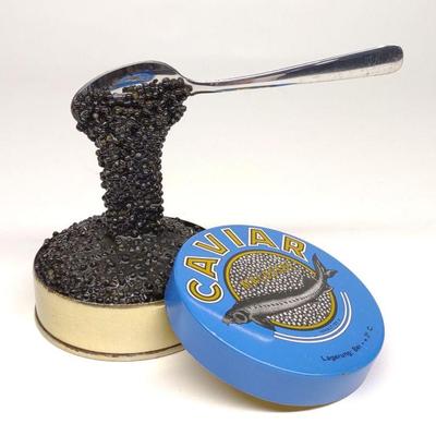 Caviar Tin Sculpture / Advertising Display