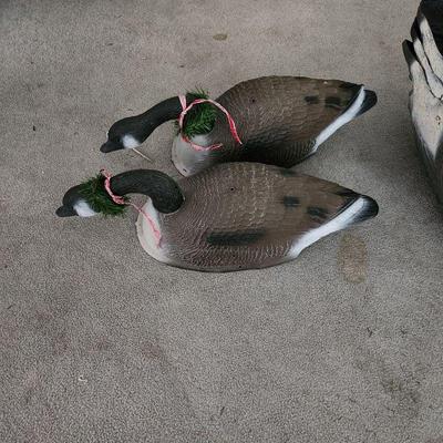 Duck Decoys