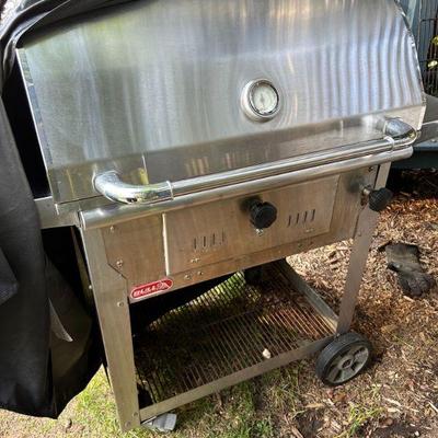 Napolean Gas Grill