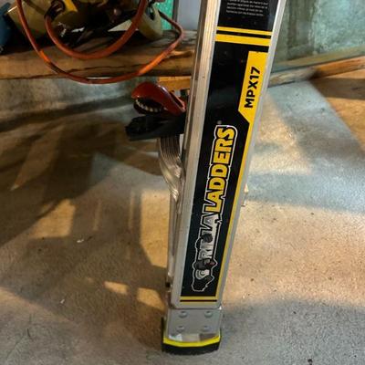 Gorilla Folding Ladder