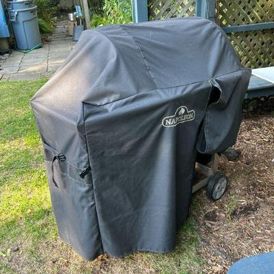 Napolean Gas Grill