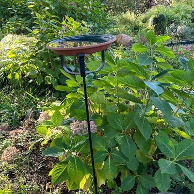 Bird Bath