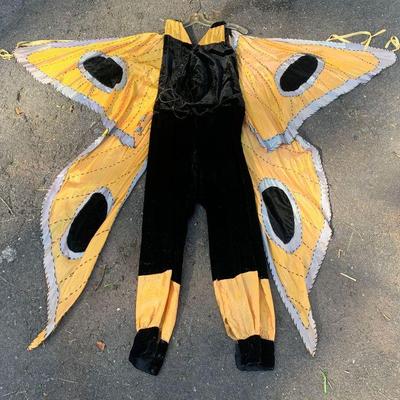 Vtg. handmade butterfly costume - wings, pants, and hat
